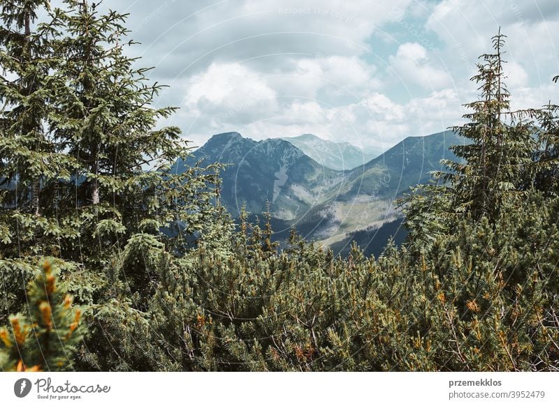 Tatra Gebirge Landschaft. Scenic Blick auf Berg felsigen Gipfeln, Hängen, Hügeln und Tälern erstaunlich im Freien niemand Urlaub Weg Tourismus Bäume Felsen Top