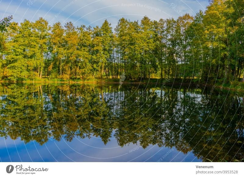 Kleiner See im Herbst kleiner See Seen Wasser Himmel Cloud Wolken Ufer Meeresküste Reflexion & Spiegelung Wasserspiegelung Bäume Natur Deutschland außerhalb