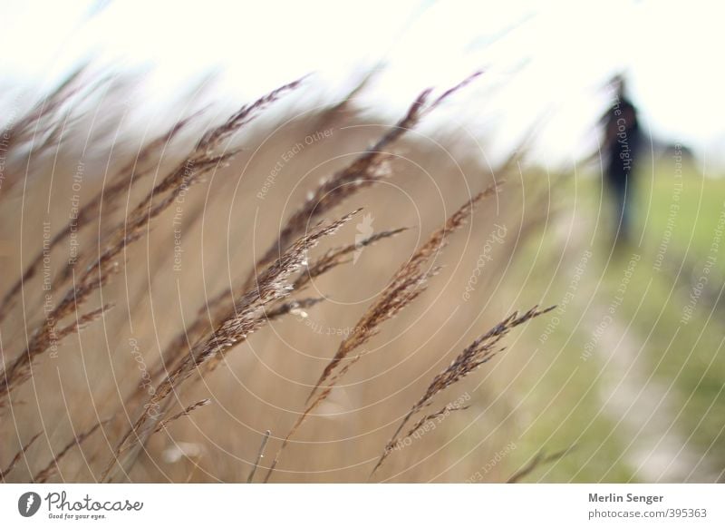 Regen An Der Ostseeküste Ein Lizenzfreies Stock Foto Von Photocase 2781