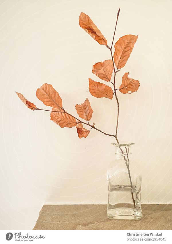 Ein kleiner Zweig einer Buche mit Blättern in Herbstfärbung steht in einer kleinen Glasflasche. Diese steht auf Sandstein vor hellem Hintergrund. Stillleben.