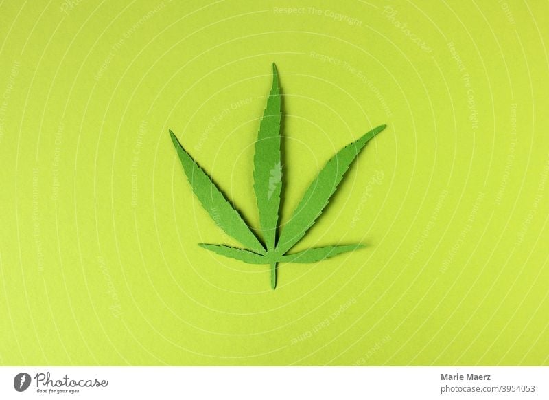 Hanfblatt - Papier-Illustration auf grünem Hintergrund Pflanze Blatt Marihuana Medizin Cannabis Medikament organisch Haschisch Legalisierung medizinisch