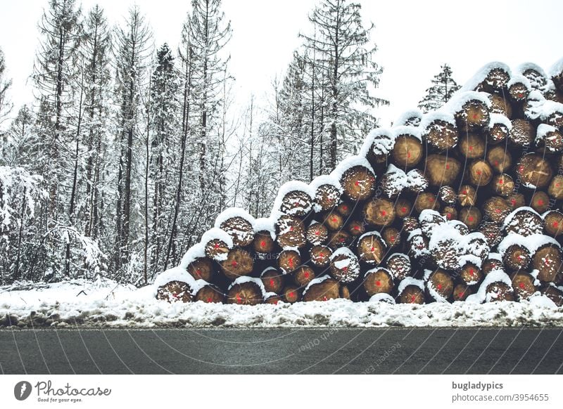 Bäume senkrecht und waagerecht im Schnee Baum Baumstamm Baumstämme Winter Brennholz Brennstoff Klafter Raummeter Holz Wald Holzstapel Forstwirtschaft Totholz