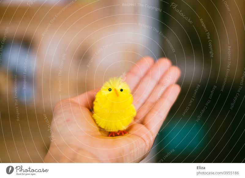 Hand hält eine kleine gelbe Kükenfigur Ostern halten künstlich Figur niedlich Tier flauschig