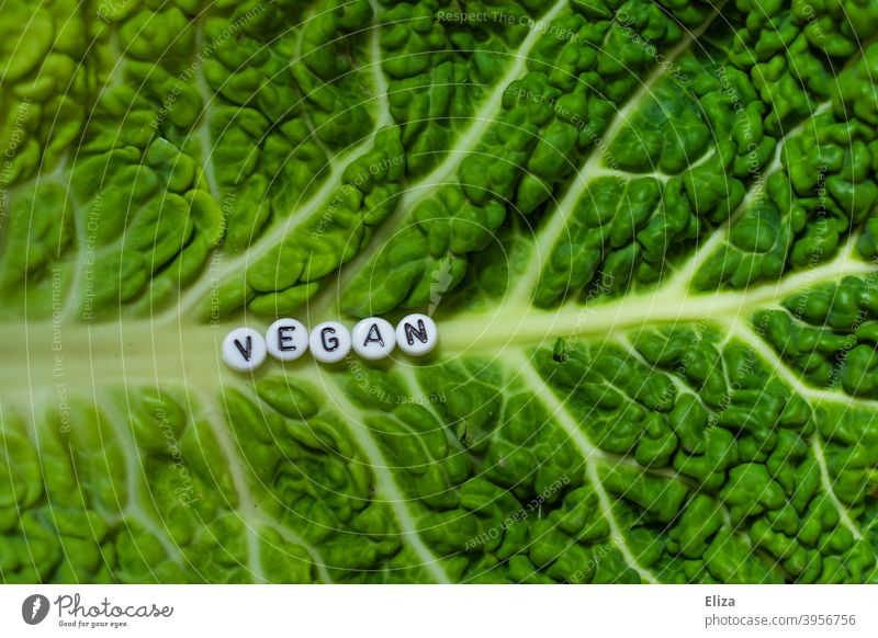 Ein Salatblatt auf dem das Wort Vegan steht Vegane Ernährung grün gesund Veganismus geschrieben Gesunde Ernährung Lebensmittel Gemüse Wirsing ökologisch