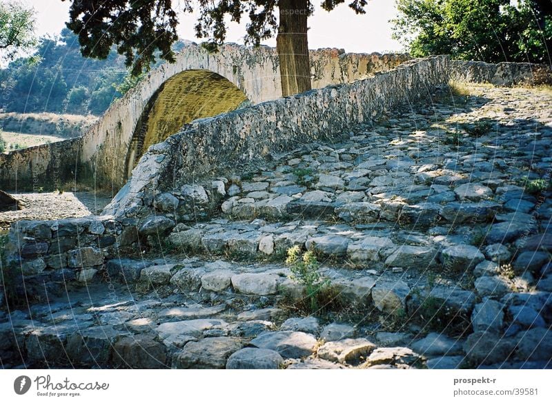 TreppenBlume Griechenland Kreta Baum Licht Ferien & Urlaub & Reisen Gegenlicht Europa Brücke Sonne Schatten