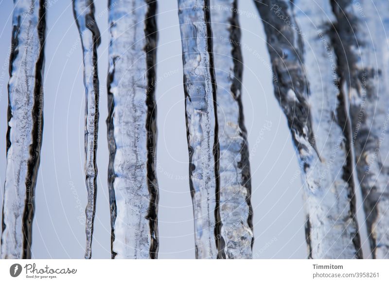 Eiszapfen (1) Winter kalt Frost Kälte blau weiß Himmel
