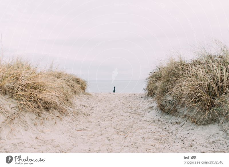 ein einsamer Mensch am zwischen den Dünen am Meer Dünengras Dühne Einsamkeit Herbst Winter Nordsee Küste Landschaft Strand Natur Ferien & Urlaub & Reisen Himmel