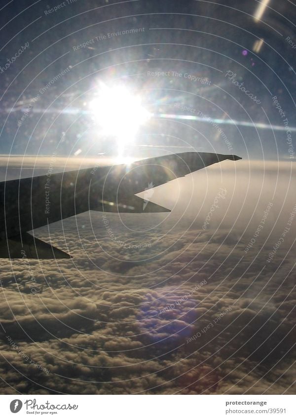 dem gewitter entflohen Flugzeug Wolken Sonnenaufgang Tragfläche Luftverkehr Himmel