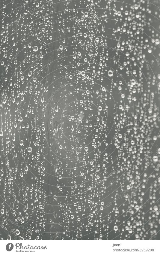 Regentropfen laufen am Fenster hinunter Tropfen Fensterscheibe Glas Glasscheibe Wassertropfen nass Wetter Oberfläche regnerisch regnen Regenwetter Erfrischung
