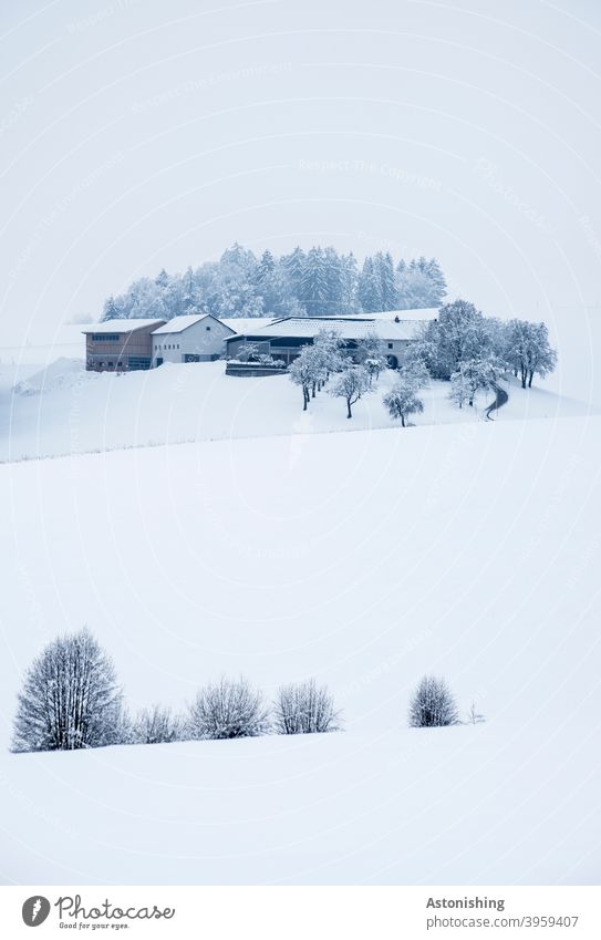 Eingeschneiter Bauernhof auf einem Hügel Schnee Winter Winterlandschaft Natur Landschaft Haus Landwirtschaft weiß hell kalt kühl SchneeTal Mühlviertel