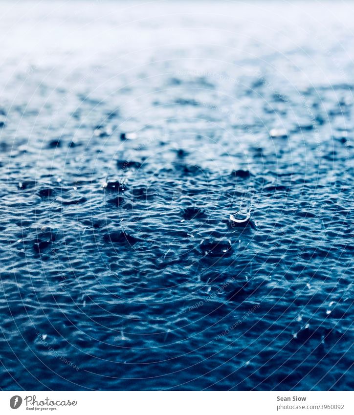 Starker Regen prasselt auf den Boden nass kalt Wasser regnerisches Wetter Umwelt Wassertropfen trist Tag deprimierend depressiv schlechtes Wetter Regentropfen