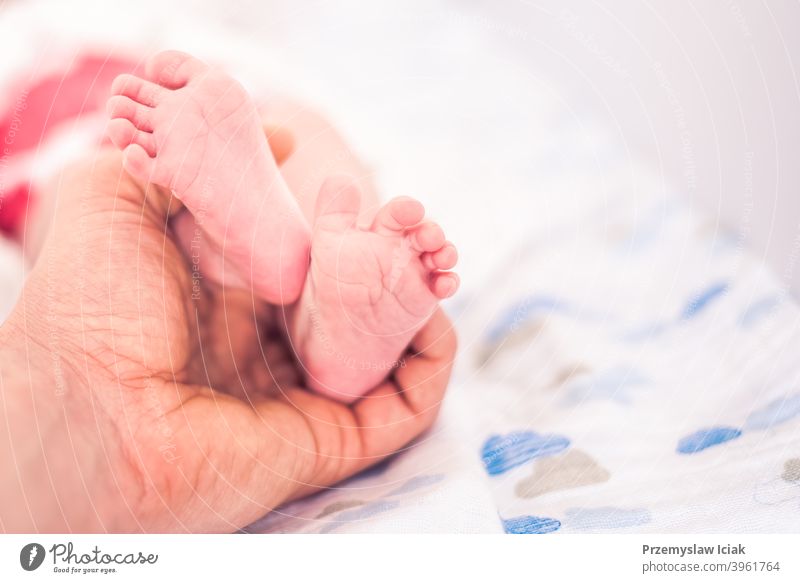 Kleine neugeborene rosa Fuß von Vater Hand gehalten Hintergrund Zehen Halt Familie Pflege filigran Lifestyle Falte authentisch Textfreiraum Selektiver Fokus