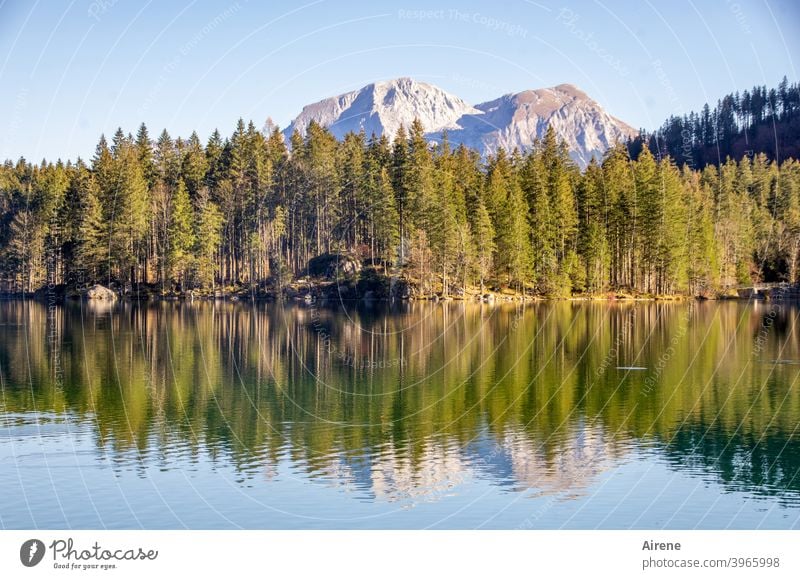 weil die Welt so schön ist... See Idylle Reflexion & Spiegelung Landschaft blau grün Wald Berge u. Gebirge Alpen Sonnenlicht Wasserspiegelung Wasseroberfläche