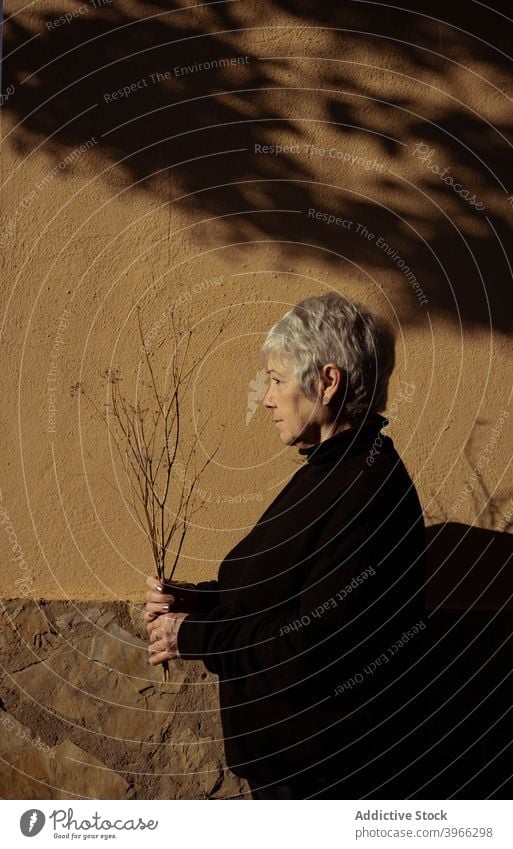 Seitenansicht einer entspannten älteren Frau Senior Kaukasier Europäer Lifestyle Porträt Menschen entspannend in den Ruhestand getreten Gelassenheit weiße Haare