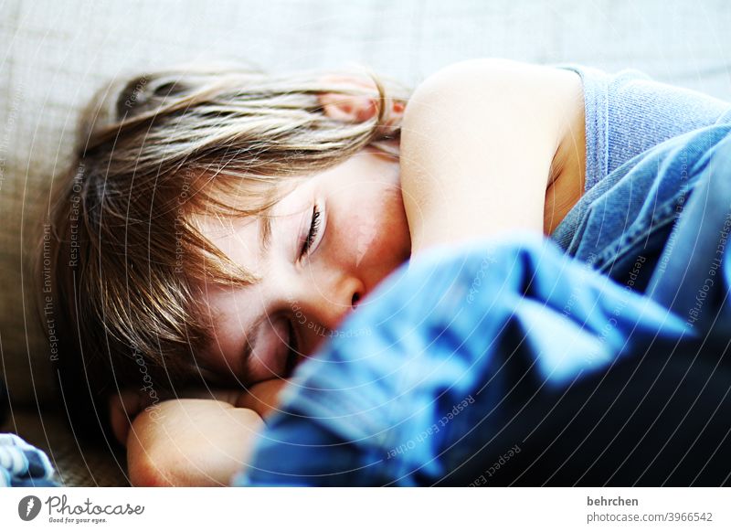 müd träumen Familie & Verwandtschaft Farbfoto Junge Kindheit Gesicht Tag Licht Kontrast Porträt Nahaufnahme Sonnenlicht Zufriedenheit Sohn müde schlafen