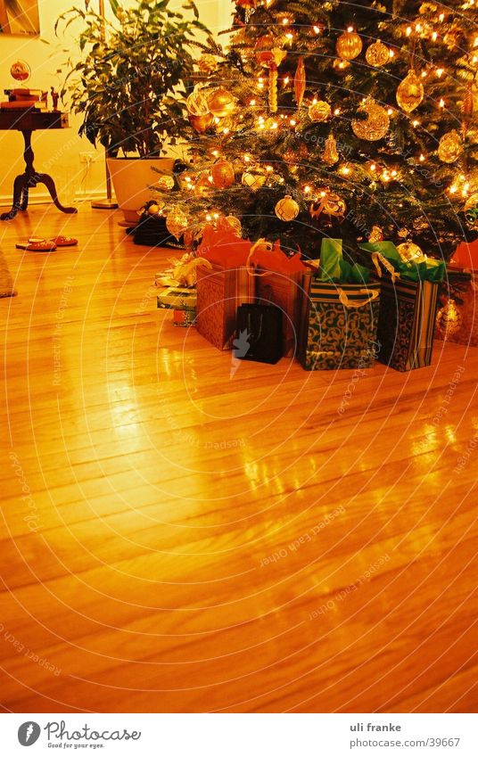 Weihnachtsbäumchen Weihnachtsbaum Weihnachten & Advent Weihnachtsgeschenk Häusliches Leben Weihnachtsstimmung