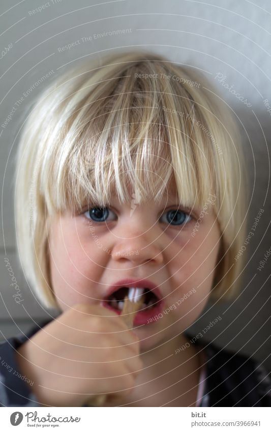 Pähnchen zutzen Kind Kindheit Kindererziehung Kindergarten Mädchen klein Kleinkind Porträt putzen Zähne Zahnbürste Zahnarzt Zahnmedizin Zahnpflege hygiene