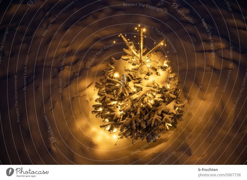 ein Weihnachtsbaum mit Weihnachtsbeleuchtung steht da unten im Schnee und leuchtet. Nacht leuchten Weihnachten & Advent Außenaufnahme Lichterkette Baum