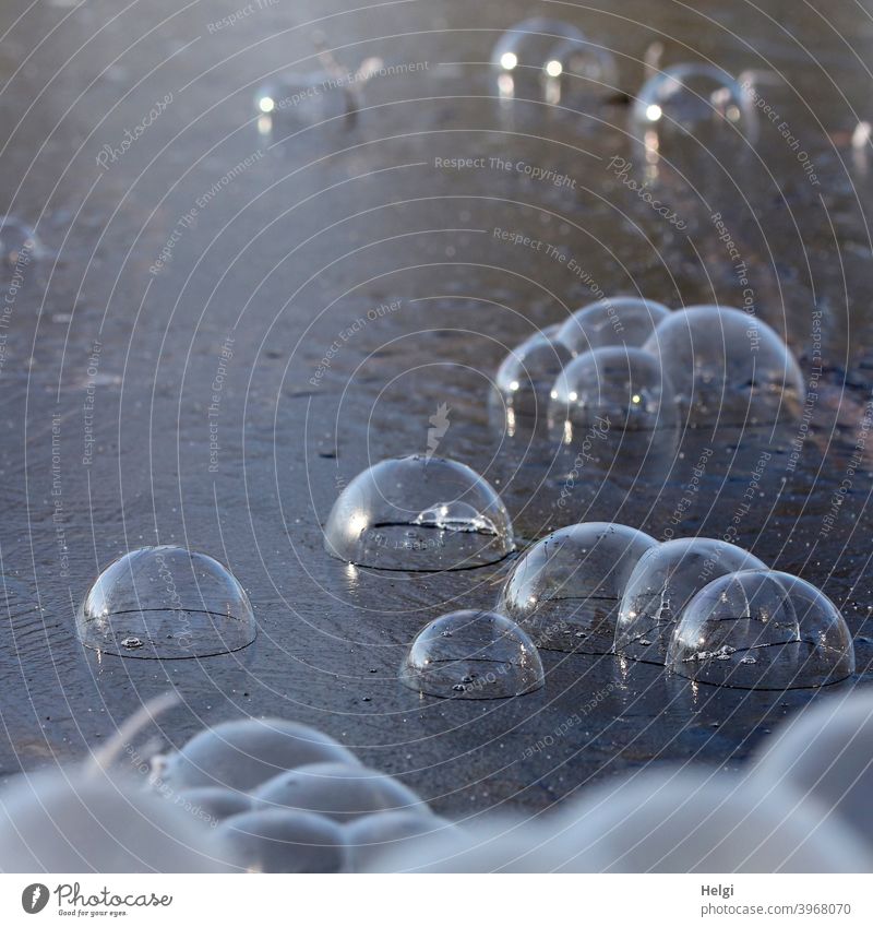 Beulenpest auf dem Dorfteich  ;-) - Seifenblasen sind auf einer Eisfläche gelandet Winter Frost Kälte liegen zugefroren Spielerei Freude Spaß kalt Außenaufnahme