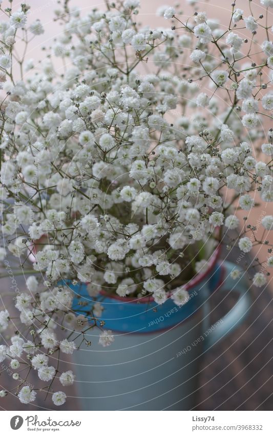 Schleierkraut in einem blauen Tonkrug Vase Pflanzen Dekoration Tischdeko weiß