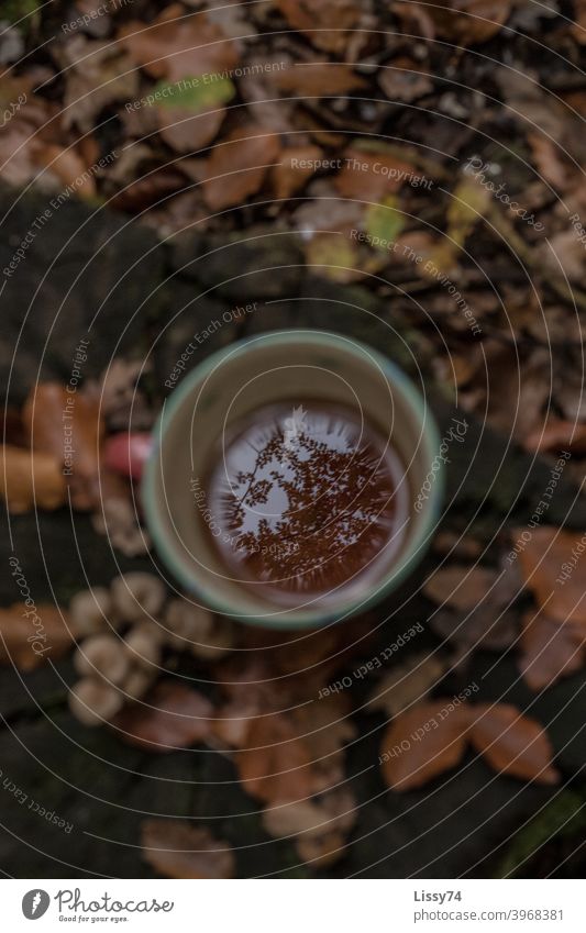 Ein Tasse Tee auf einem Baumstumpf im Wald, in der sich die nebenstehenden Bäume spiegeln Teetasse Laub Natur Herbst Außenaufnahme herbstlich Teetrinken