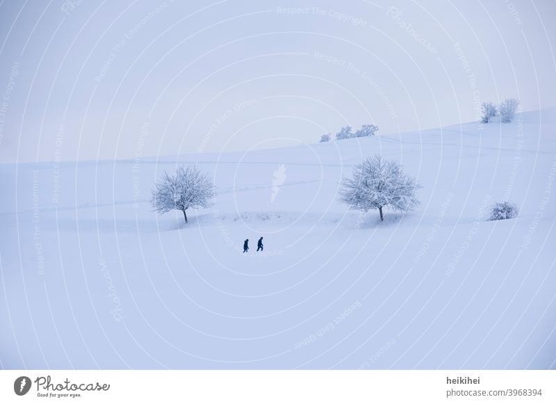 Verschneite Landschaft in der zwei Personen wandern Schnee Winter Baum kalt Eis Frost Raureif weiß Natur Himmel blau Monochrom Außenaufnahme gefroren frieren