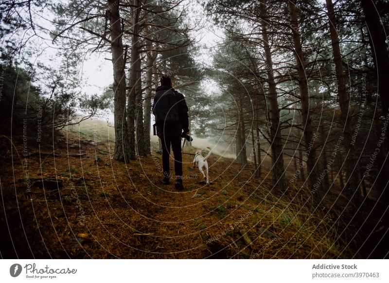 Mann spaziert im Herbst Wald mit Hund Spaziergang Zusammensein Nebel schlendern Saison Freund männlich Wälder Weg Natur Tier Eckzahn Dunst loyal Waldgebiet