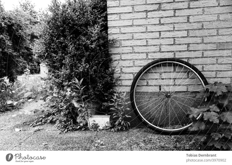 Schwarz-Weiß-Foto von Fahrrad Rad lehnt gegen eine Backsteinmauer Schwarzweißfoto Backsteinwand Rand Laufrad minimalistisch Sträucher Ziegel