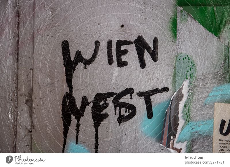 Graffiti auf Mauer, "Wien West" Schriftzug Wand Fassade Schriftzeichen Zeichen grau Buchstaben Straßenkunst Jugendkultur Wandmalereien Wort Schmiererei trashig