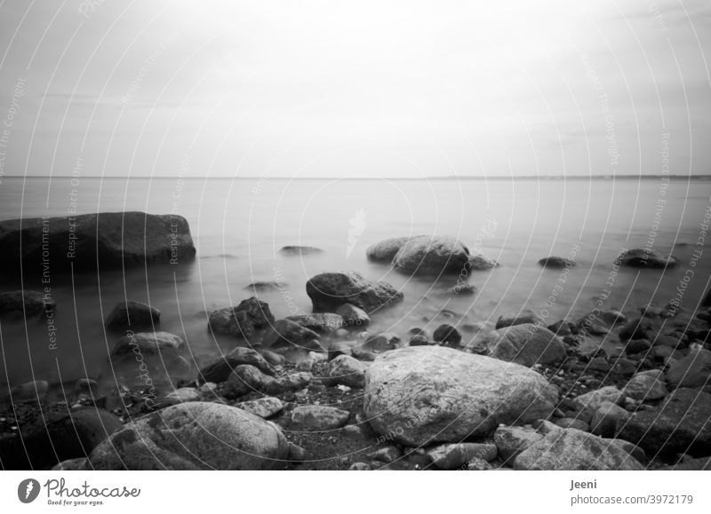 Steine im Meer | sanftes Rausches der Ostsee durch Langzeitbelichtung Ostseeküste Küste Wasser Strand Nebel Felsen Traum Ufer Urlaub geheimnissvoll mystisch