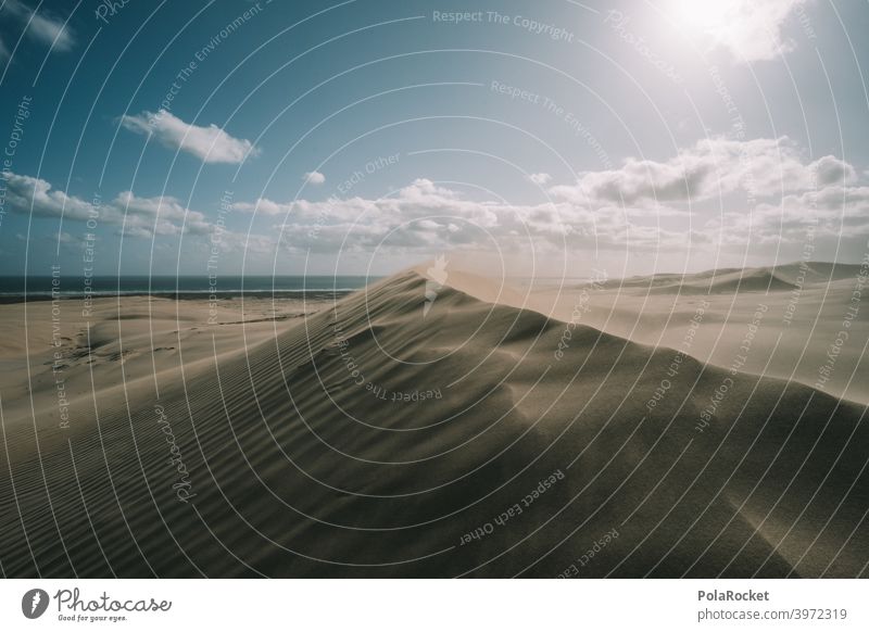 #AS# Dünne weit Sand Düne Sonnenlicht heiß windig Wellen Wüste Natur Abenteuer Menschenleer trocken einzigartig Landschaft Ferne Sandstrand Sandsturm Dürre