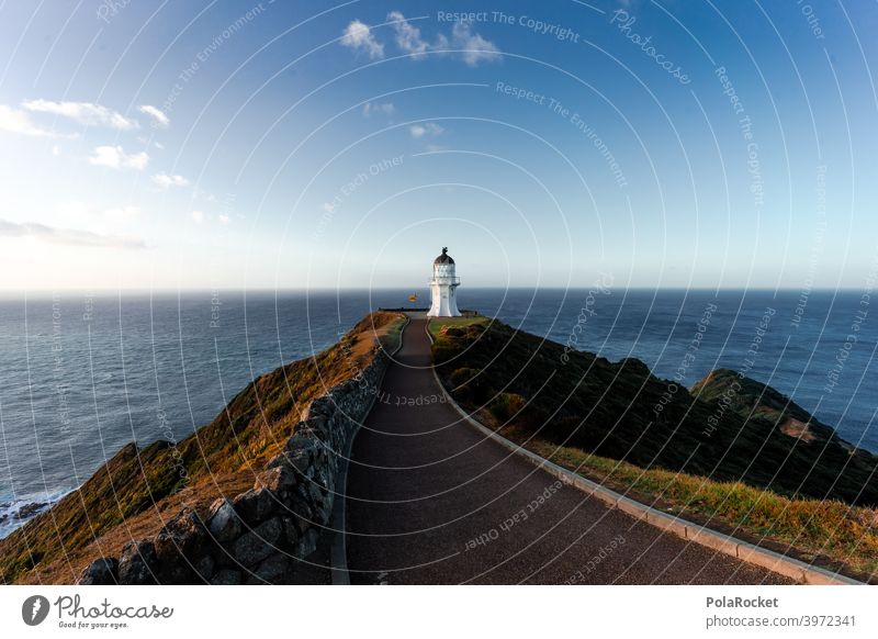 #AS# Cape Reinga II Cape Reinga Lighthouse cape reinga Leuchtturm Neuseeland Norden Freiheit Abenteuer Sonnenuntergang Menschenleer Ende Aussicht Wellen Ferne