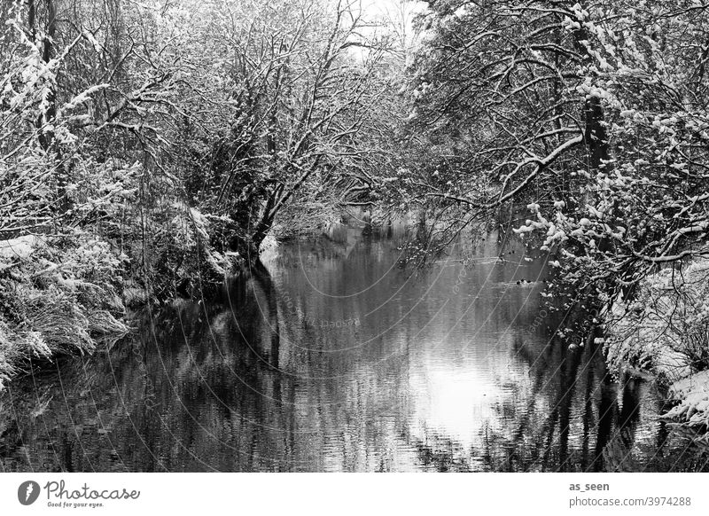 Winter Wonderland Fluss Schwarzweißfoto Schwarzweißfotografie Schnee kalt Baum Landschaft Außenaufnahme Natur Tag Menschenleer Umwelt Frost Eis Wetter schwarz