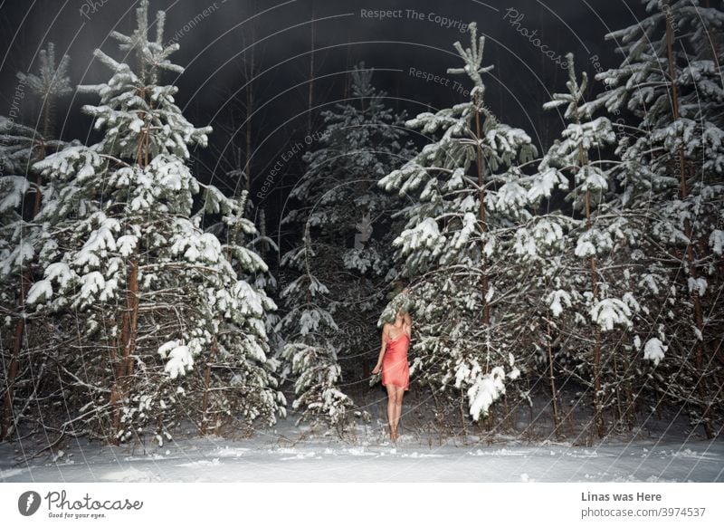 Es ist immer noch kalt draußen und diese Wälder sind mit weißem Schnee bedeckt. Dennoch, diese wunderschöne weibliche Modell kümmert sich nicht, wenn es ein Schneesturm da draußen ist. Nackte Füße und kaum gekleidet (nur mit rosa Rock) Mädchen genießt das Gefühl des Winters.