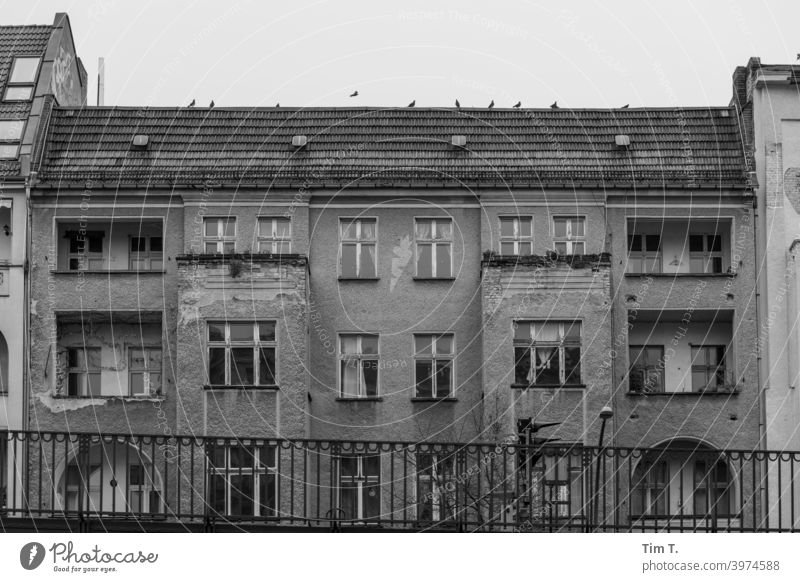 Altbau Schönhauser Allee Prenzlauer Berg Berlin s/w Hauptstadt Menschenleer Altstadt Stadtzentrum Außenaufnahme Haus Tag Architektur Schwarzweißfoto