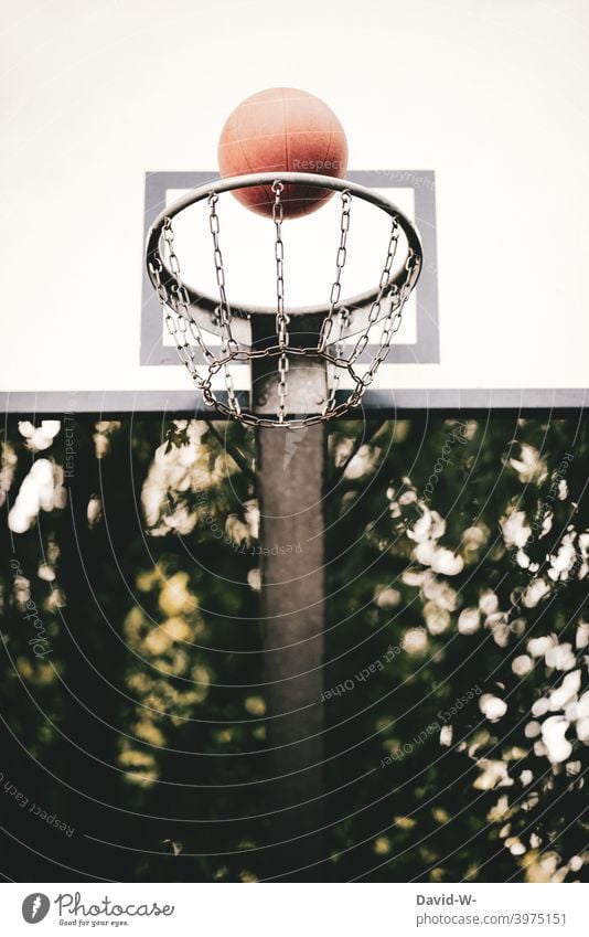 Basketball fliegt in einen Basketballkorb Erfolg fliegen Erfolgskonzept Treffer treffen Ball Korb Sport Spiel Ziel Punkt