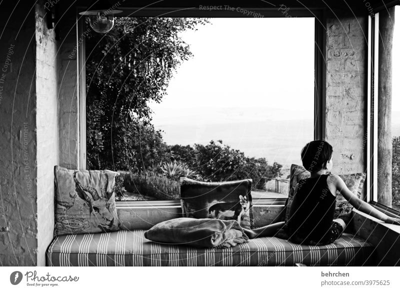 lieblingsplatz Porträt Sonnenlicht Kontrast Licht Häusliches Leben Innenaufnahme Abend gemütlich Kissen Baum Fenster Veranda Sofa Fernweh Südafrika Erholung