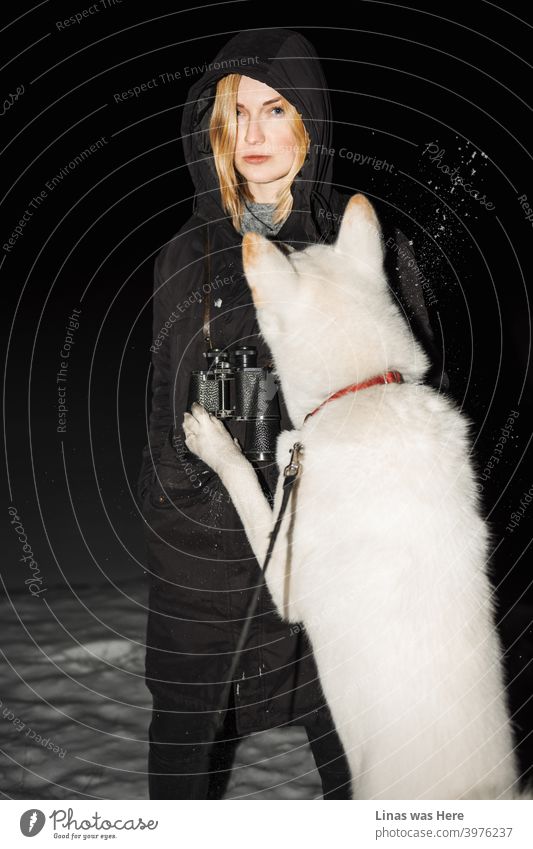 Blondes Mädchen spielt mit ihrem weißen Akita-Inu-Hund. Es ist eine kalte Winternacht. Eine schöne Frau spürt die eisige Temperatur, da ihre Wangen rot werden. Aus irgendeinem Grund hat sie auch ein Fernglas am Hals.