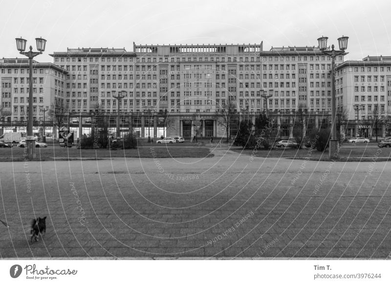 Karl Marx Allee mit Hund Friedrichshain Karl-Marx-Allee Haus stalinallee Berlin Architektur DDR Fassade Hauptstadt Menschenleer Gebäude Außenaufnahme Stadt