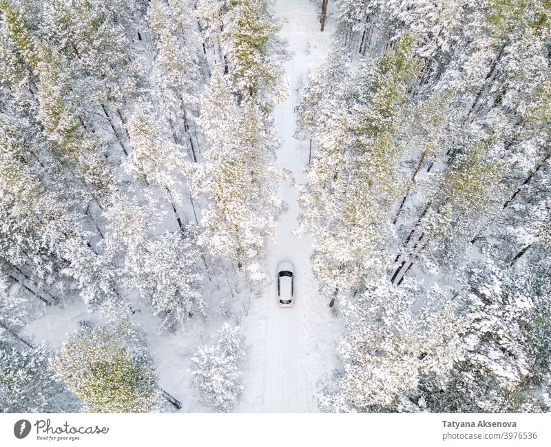 Weißes Auto im verschneiten Wald von oben Schnee Winter Natur PKW Saison Baum Antenne kalt Wetter Frost Landschaft Ansicht weiß Holz im Freien Eis Hintergrund