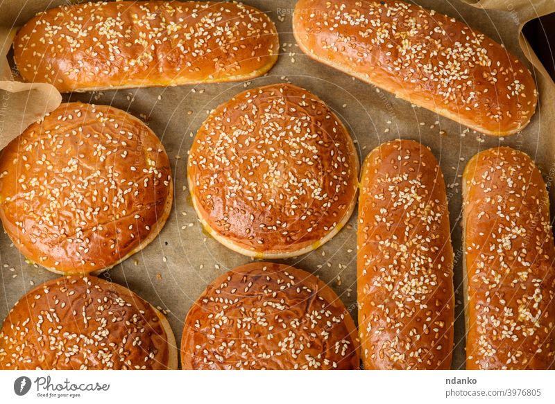gebackene Sesambrötchen auf braunem Pergamentpapier, Zutat für einen Hamburger Brötchen Burger Cheeseburger klassisch Nahaufnahme Kruste lecker Teigwaren Essen