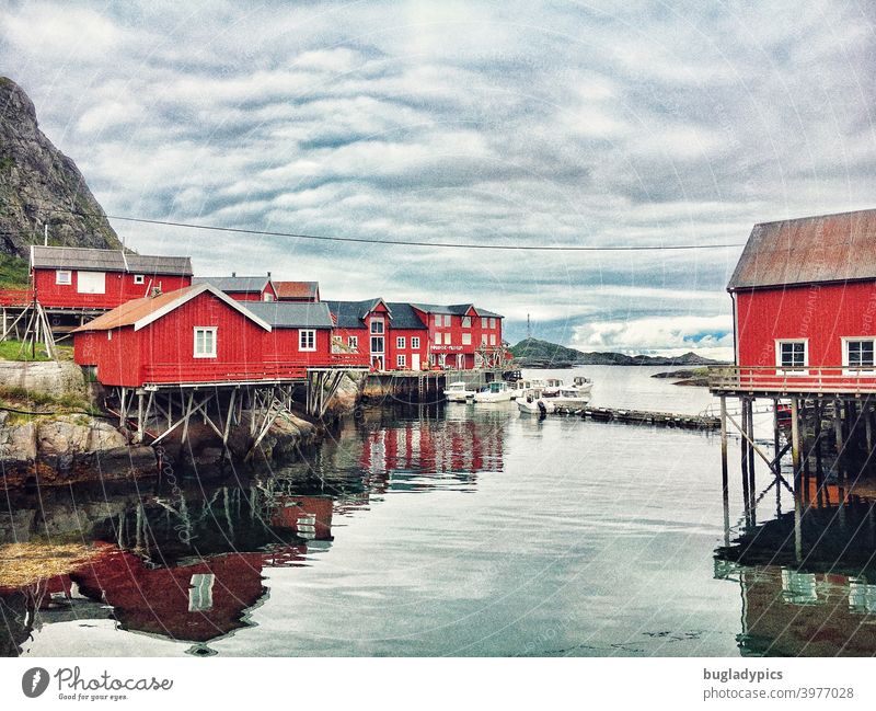 Rorbuer / Rote Häuser auf den Lofoten in Norwegen Stelzenhaus Fischerdorf Fischereiwirtschaft Fischerhütte Fischerhütten Lofoten Inseln Skandinavien Landschaft