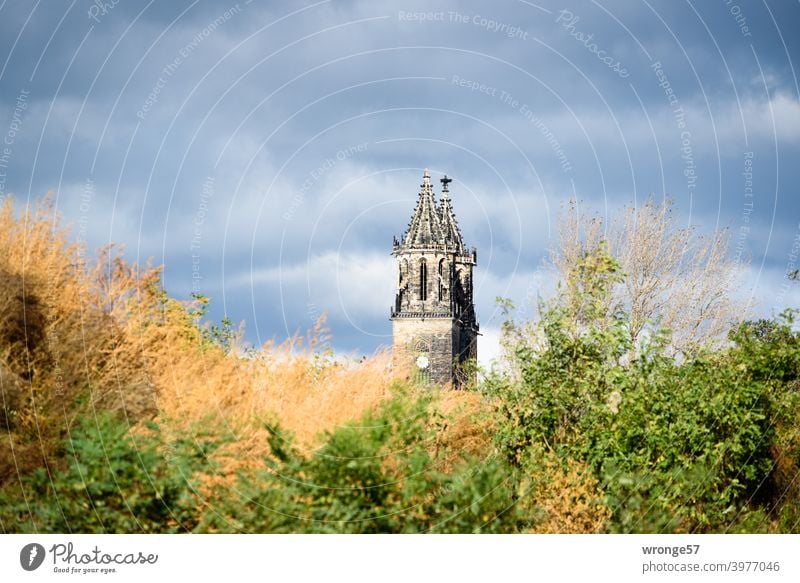 Die beiden Türme des Magdeburger Dom‘s recken sich hinter einem mit wüsten Gestrüpp bewachsenen Hügel in den wolkenverhangenen Himmel Domtürme Sakralbau