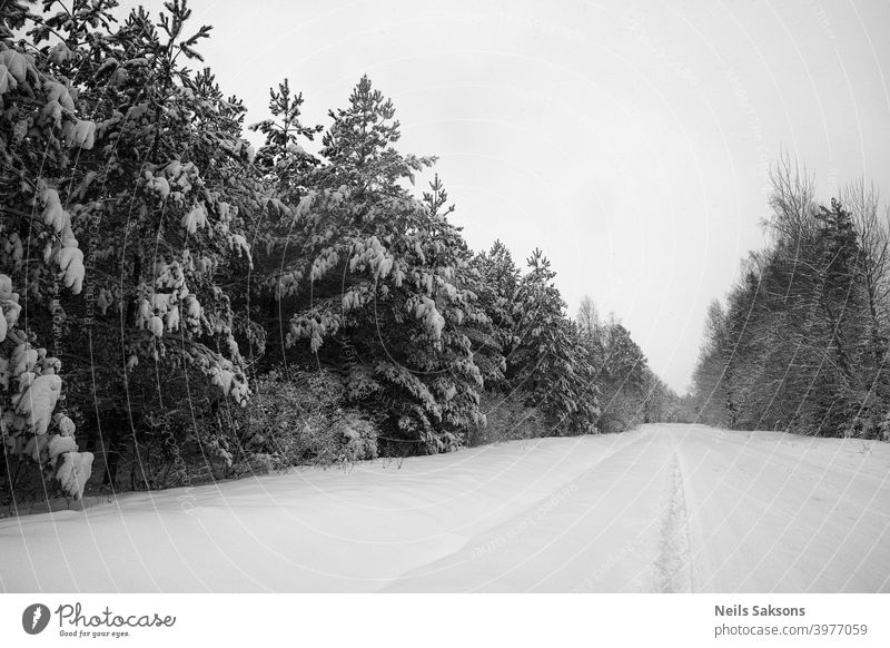 Nordperspektive / Landstraße im tiefen Winter / schwerer Schnee auf Nadelbäumen / schwarz-weiße Version der Unendlichkeit oben abstrakt Abenteuer Antenne schön