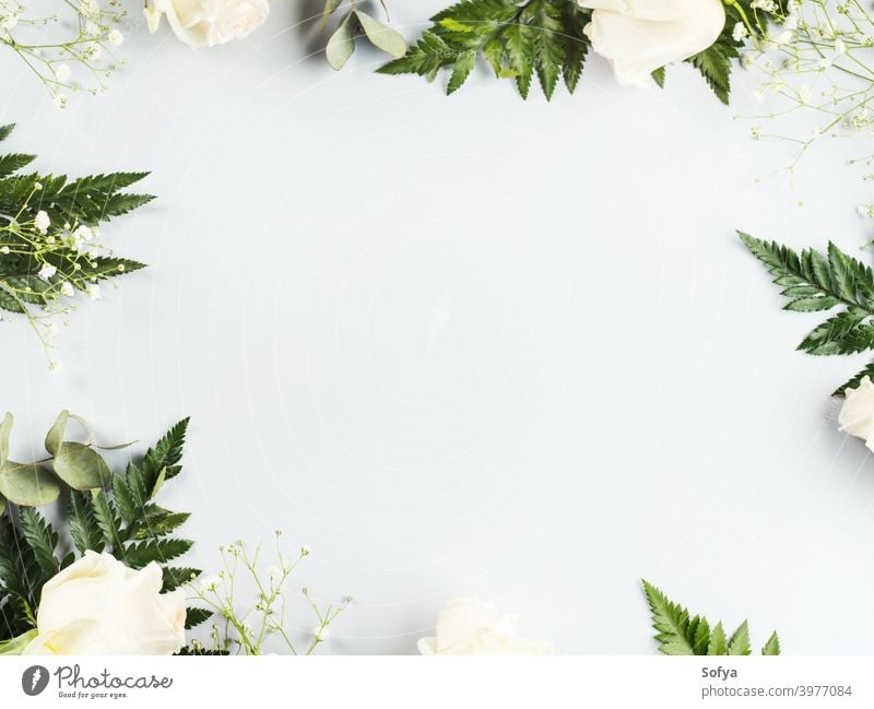 Blumenarrangement Rahmen mit weißen Rosen und Farn Roséwein Attrappe Jahrestag Valentinsgruß flache Verlegung Feiertag Hintergrund geblümt Wurmfarn trendy