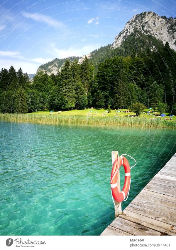 Türkisgrünes Wasser im Sommer bei Sonnenschein im Alpseebad Hohenschwangau in Schwangau bei Füssen im Allgäu im Freistaat Bayern See Gebirge Alpen Schwimmbad