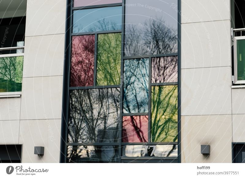 gefärbte Fenster spiegeln die kahlen Bäume in der tristen, urbanen Fassade Farbige Fenster farbig Reflektion Architektur Reflexion & Spiegelung Glas Haus modern