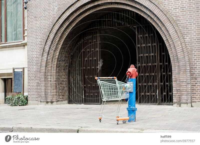 ein Einkaufswagen steht allein an einem Hydrant in der Stadt Stadtzentrum Tor Eingangstor Eingangstür Stillleben urbanes Stillleben Wasserhydrant kaufen Konsum