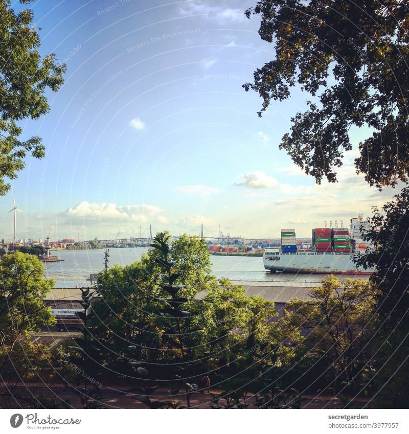 Blick auf die Köhlbrandbrücke. Ein Schiff zieht vorbei. Elbe Hamburg Hamburger Hafen Containerschiff Sommer Wasser Aussicht Himmel Bäume Rahmen Außenaufnahme