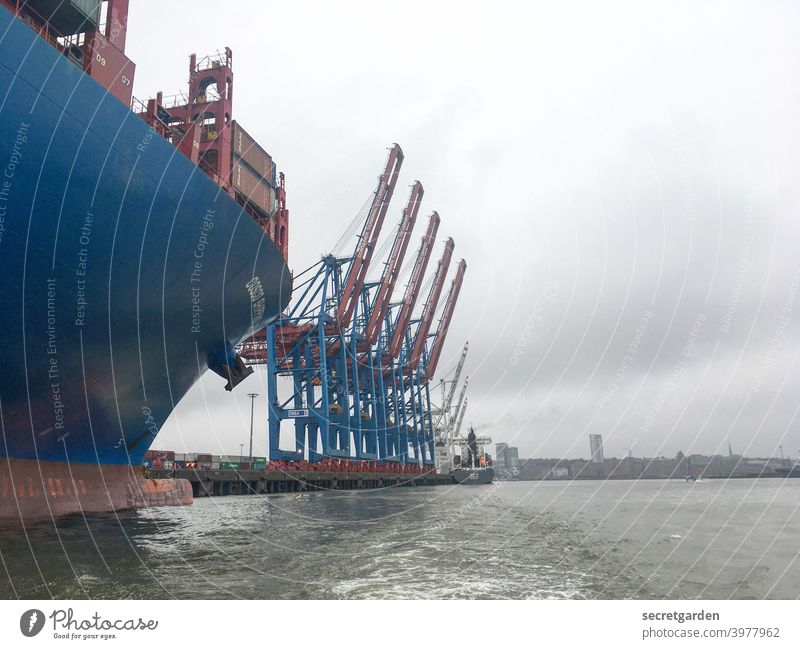 Cornern an der Elbe. Hamburg Hafen Kran Wasser Himmel schlechtes Wetter Wolken Schifffahrt Containerschiff Güterverkehr & Logistik Hafenstadt Außenaufnahme